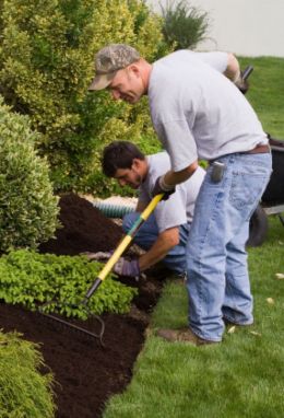 Garden Maintenance Carlow, Co Carlow, Wexford, Kilkenny, Wicklow, Country Lane Landscaping