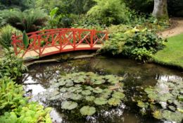 Pond / Water Feature Creation Country Lane Landscaping